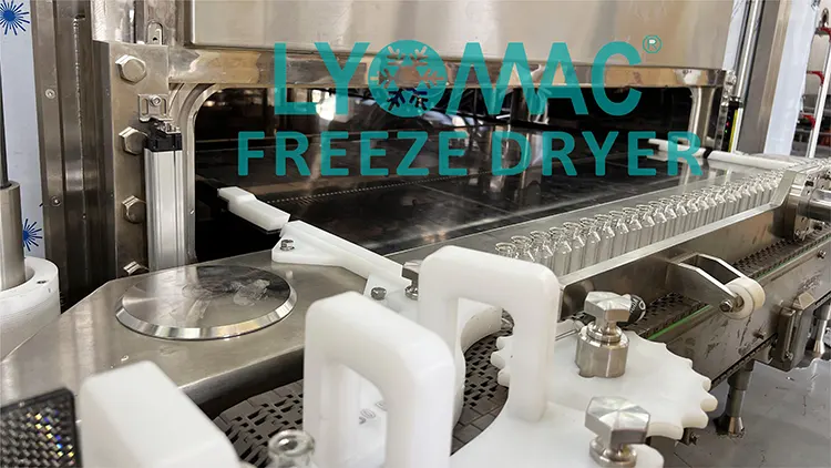 El futuro de la liofilización: cómo la automatización de Lyomac impulsa la eficiencia farmacéutica