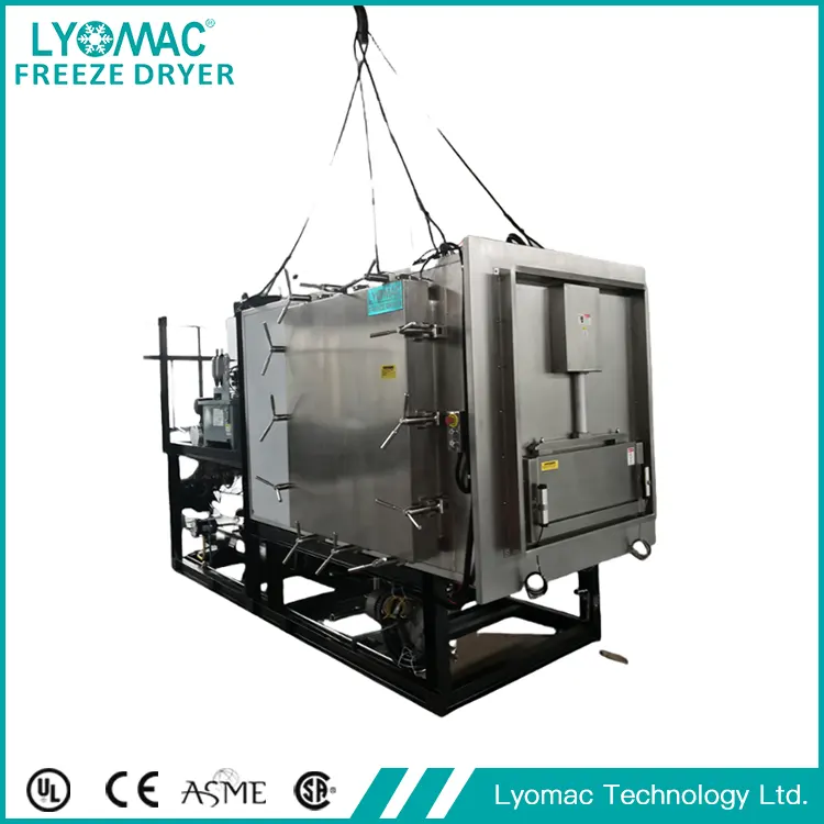 Sistemas opcionales de Lyomac: elevar la liofilización de funcional a excepcional